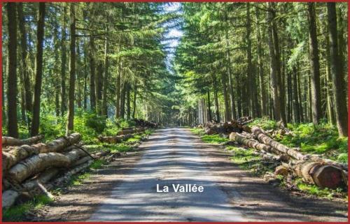 ⊱♥⊱╮ღ꧁ Aujourd'hui  60 OISE   ꧂ღ╭⊱♥≺