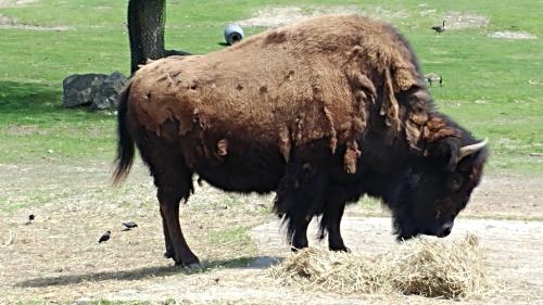 Epic spring weekend in Toronto