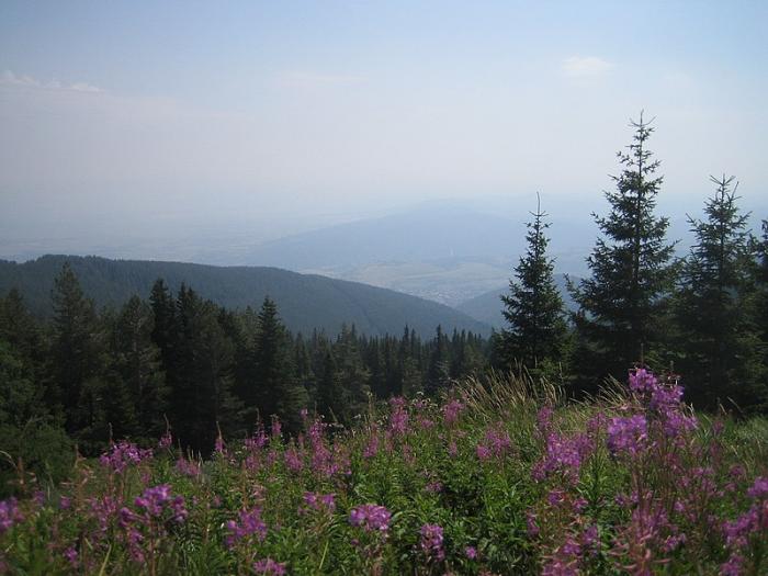 La Bulgarie dans l'Europe