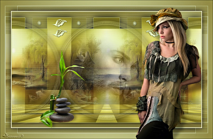 Evalynda (Saturnella)