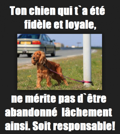 ღ꧁ღ╭⊱ꕥ   Les Vacances  ꕥ⊱╮ღ꧂ღ