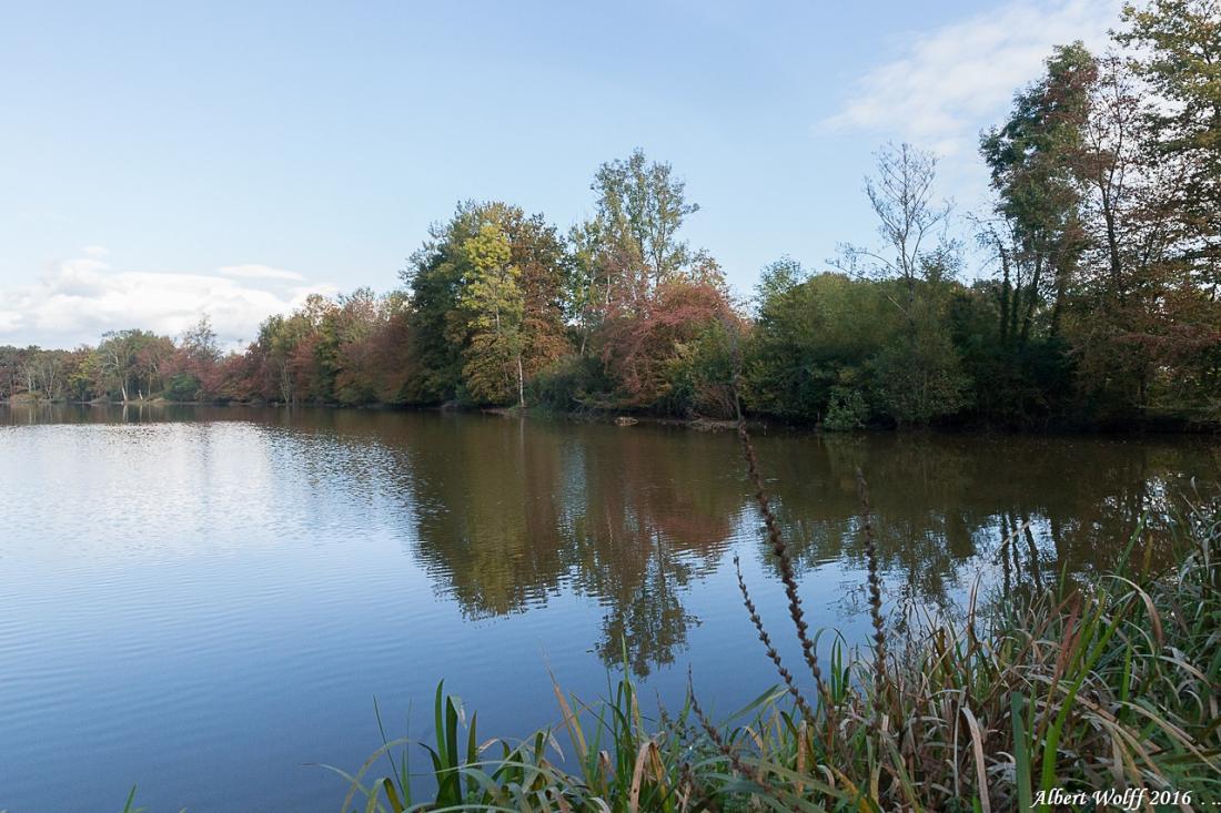 En matière de réflexion...