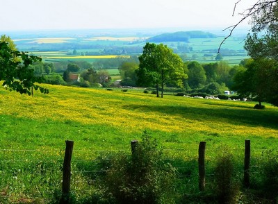 Département de l'Yonne