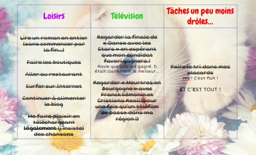 Mes projets pour les vacances...