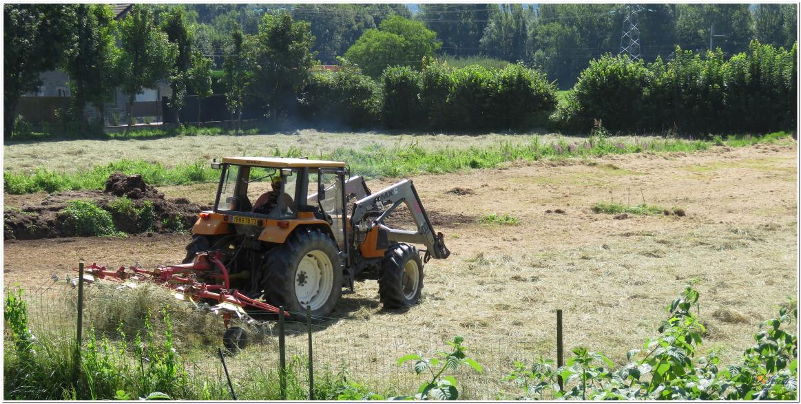 LA  SAISON  DES  FOINS 