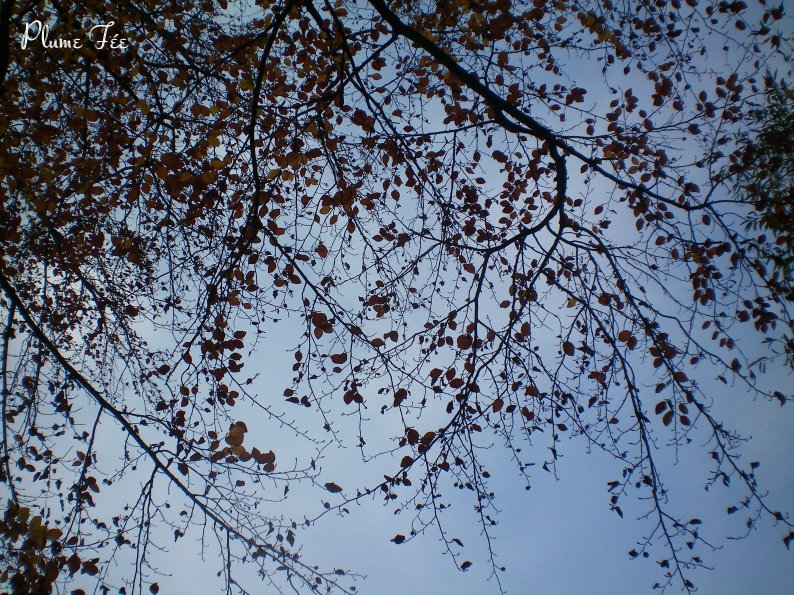 Image018.jpg