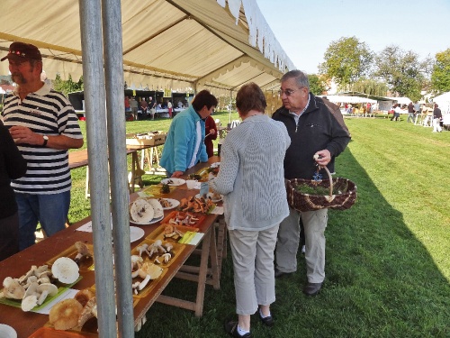 La fête de l'Automne à Leuglay...