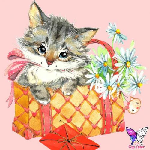 Cécile et ses coloriages numériques