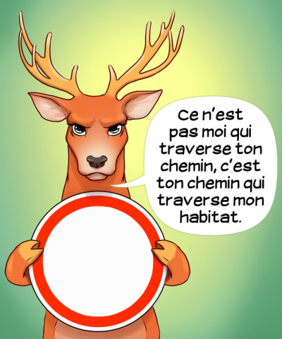 La parole aux animaux (3)