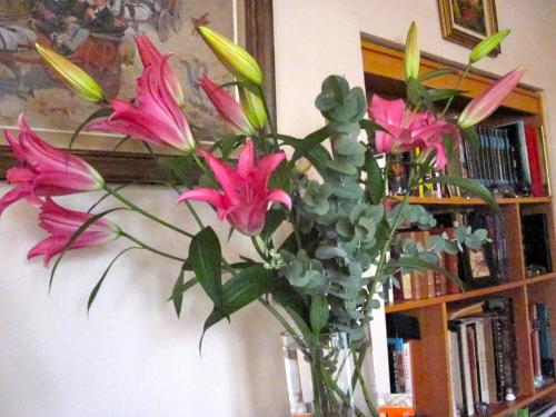 Ma Collection de Photos de Fleurs