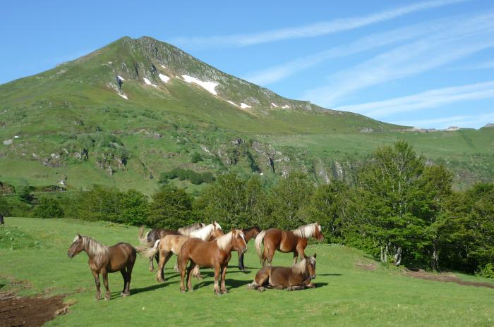 Département du Cantal