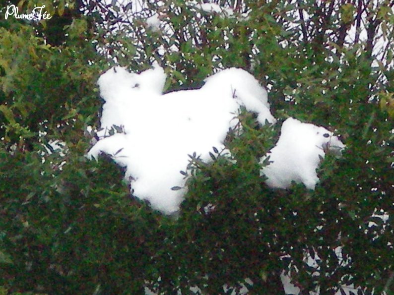 Image006.jpg