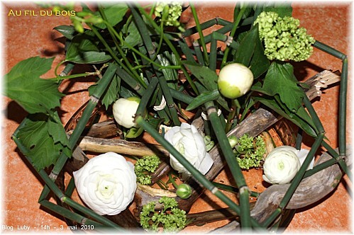 05 06 05 2010 au fil du bois (5)