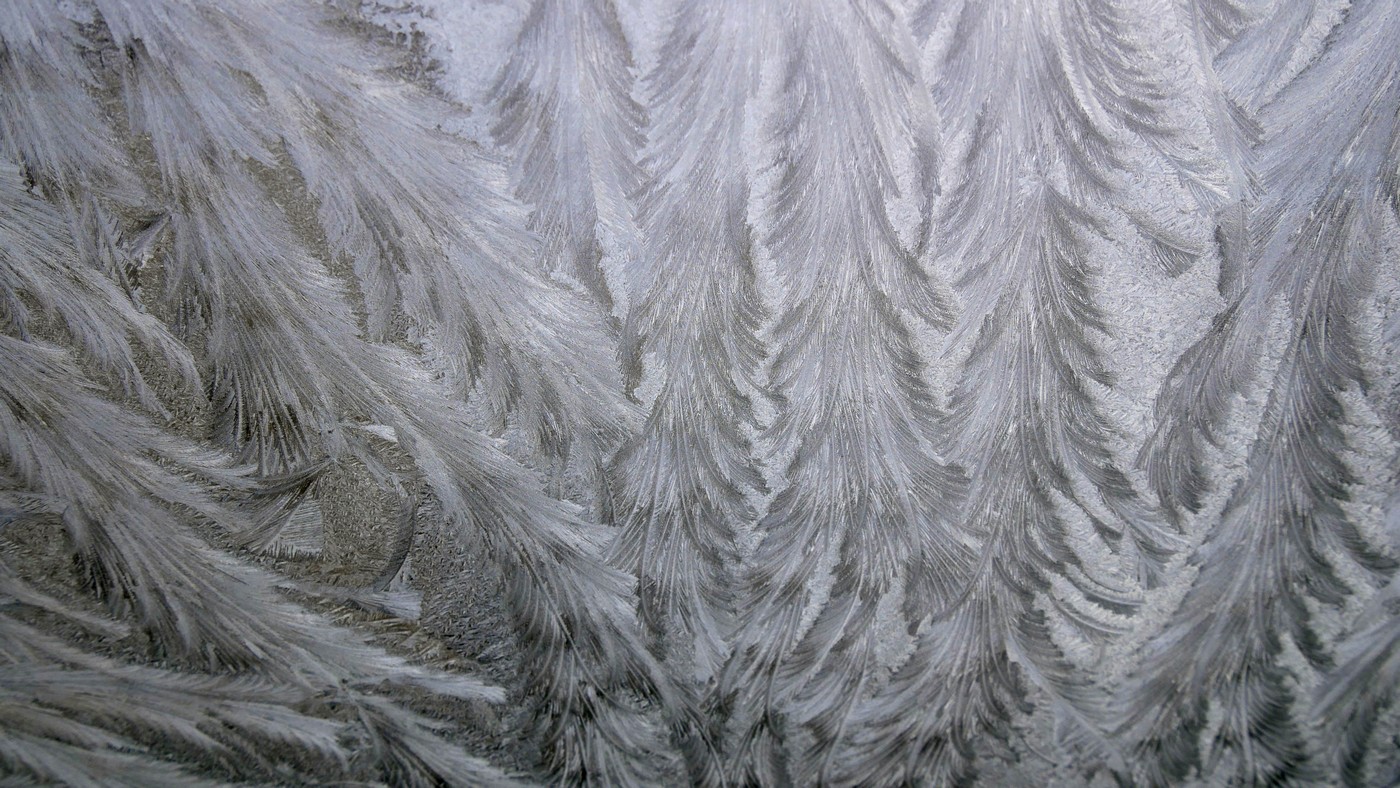 Mais qu'est-ce que c'est ?