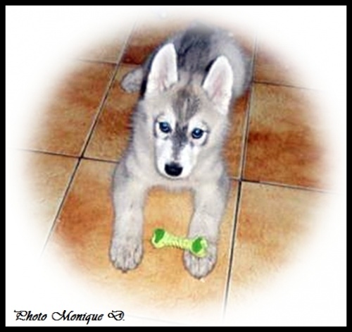 Hanaya (2 mois)