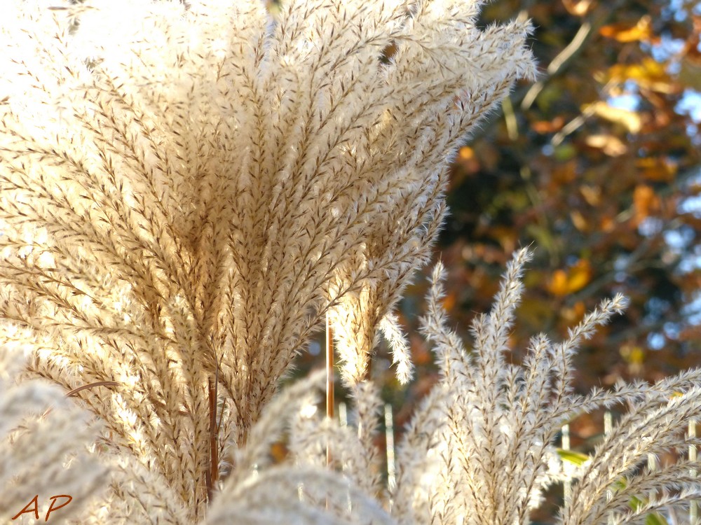 Le zoo avant sa fermeture annuelle