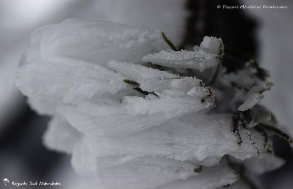 Vent et neige... 