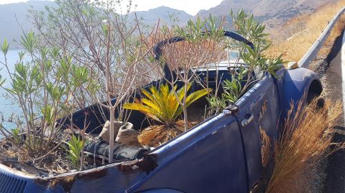 On arrive à TILOS...