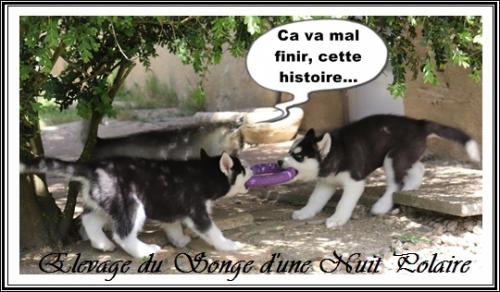 Portée d'Ourika (11 avril 2021)