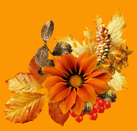 images scintillantes automne