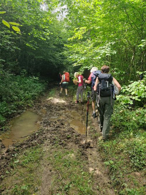 "Le long du Ru Blanc" - Mercredi 17 juillet 2024