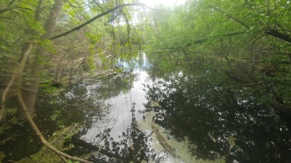 Long Weekend in Toronto from May 17th 2024 until May 20th 2024: Second Day