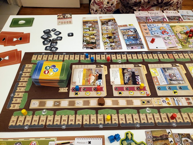 Ark Nova en fin de partie