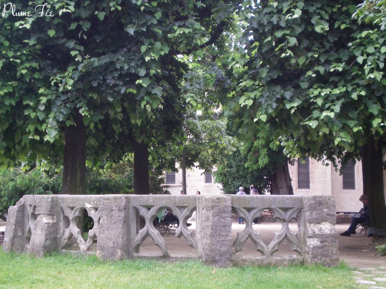 Image005.jpg