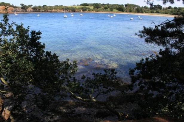 Logonna- de l'anse du Roz à Yelen (2)