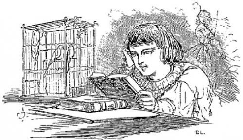 Blondinet - Jean Macé (Contes du Petit-Château)