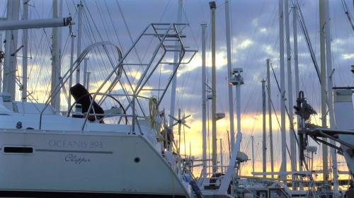 L'équilibre d'Asclépios