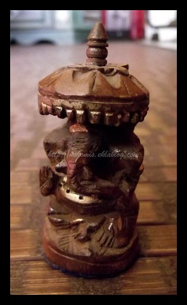 Tranches de vie d'un Australian Shepherd