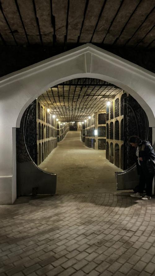 Moldavia - Route des vins -- 