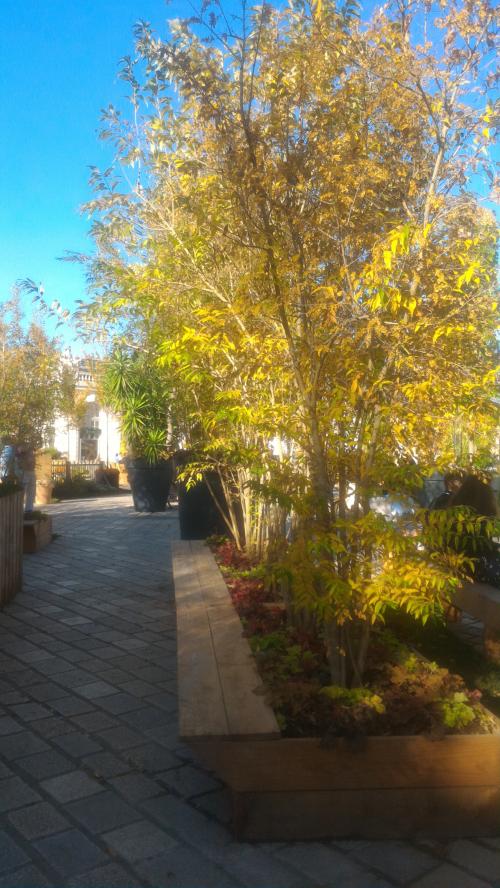 Quatorzième jardin éphémère.