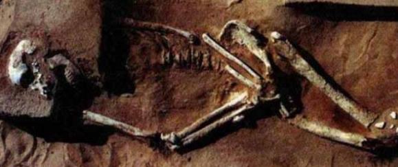 8 - L'expansion des Homo sapiens