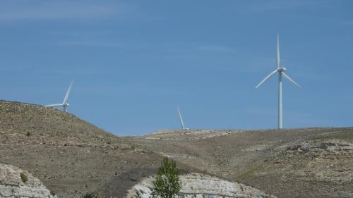 2010