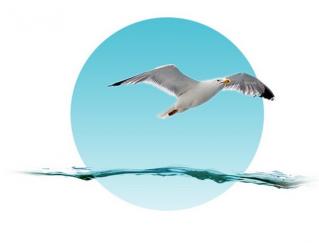 Boulogne-sur-Mer, ne manquez pas les étals de poissons