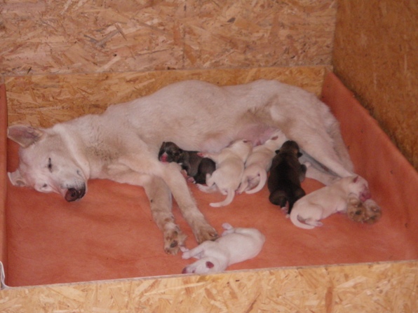 Naissance