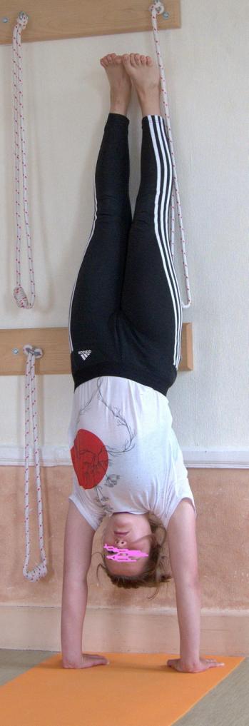 Fête du Yoga