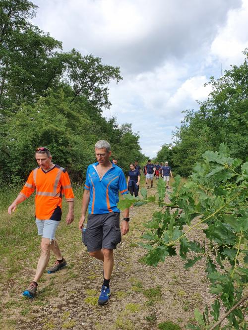 CR RANDO DES FOULEES GONDREVILLOISES 2022