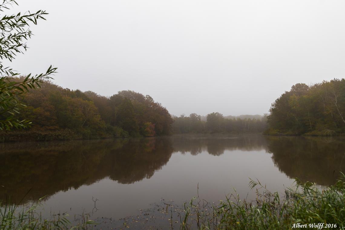 Étang Gros  aux Deux Fays.