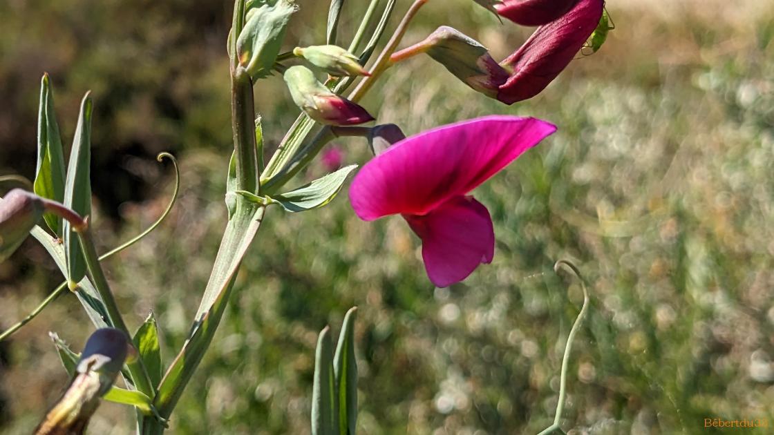 Suite pour aller à Hyères  -2