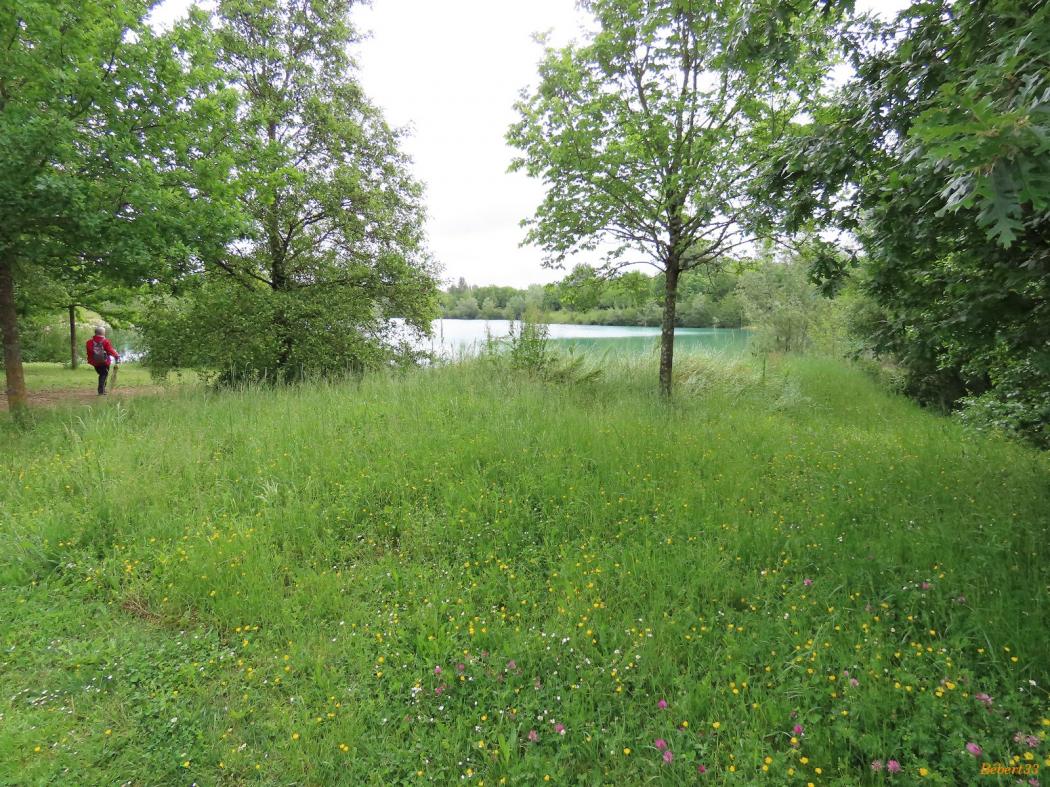 le parc de Pombonne à Bergerac - 3