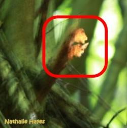 La Page de Nathalie Hayes