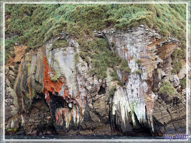 Quand la nature fait dans l'abstrait  : c'est un peu moins beau que les falaises et les grottes précédentes, mais c'est quand même très beau ! - Nightingale Island - Tristan da Cunha