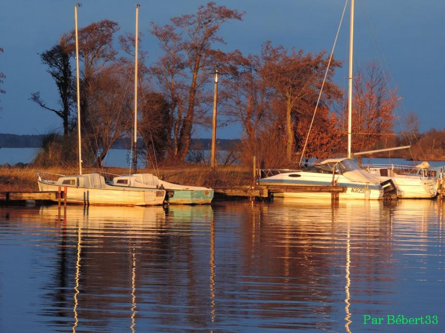 Gastes dans les Landes (40)