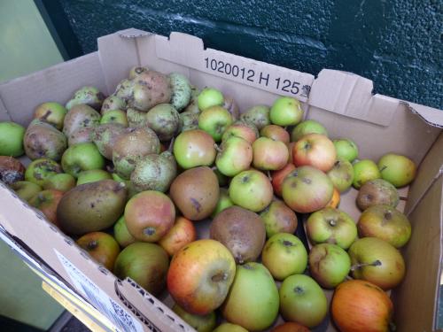 Récoltes de fin d'été...