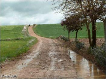 (J34) Boadilla del Camino / San Anton 8 mai 2012 (1)