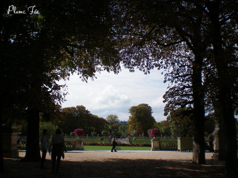 Image010.jpg