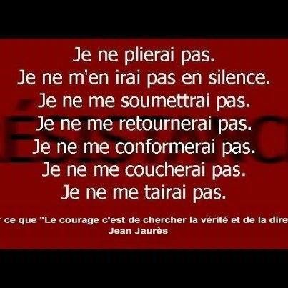 OUI JE SUIS TRES INQUIET ! 6 millions huit cent mille voix sous le bleu marine de la peste brune